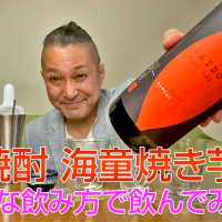 【芋焼酎】濱田酒造の「海童海童焼き芋」を飲んでみた♪
