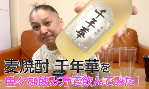 【麦焼酎】ニッカウヰスキー「長期調和熟成麦焼酎 千年華」を飲んでみた♪